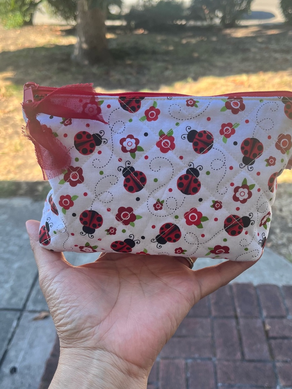 Ladybug Print Zipper Pouch - Red and White